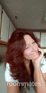 Roommate looking Vernon Rockville, CT, $1500