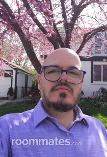 Roommate looking Arlington, VA, $1500