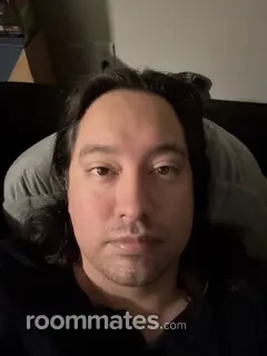 Roommate looking Dallas TX, $1000