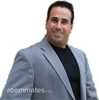 Roommate looking Palm Harbor, FL, $800