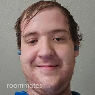 Roommate looking Toledo, OH, $600