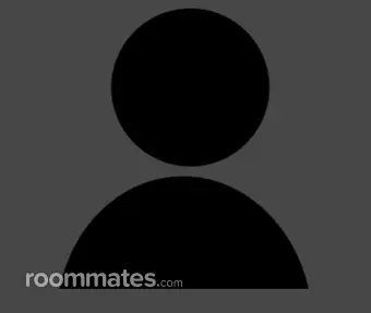 Roommate looking Manassas, VA, $1000