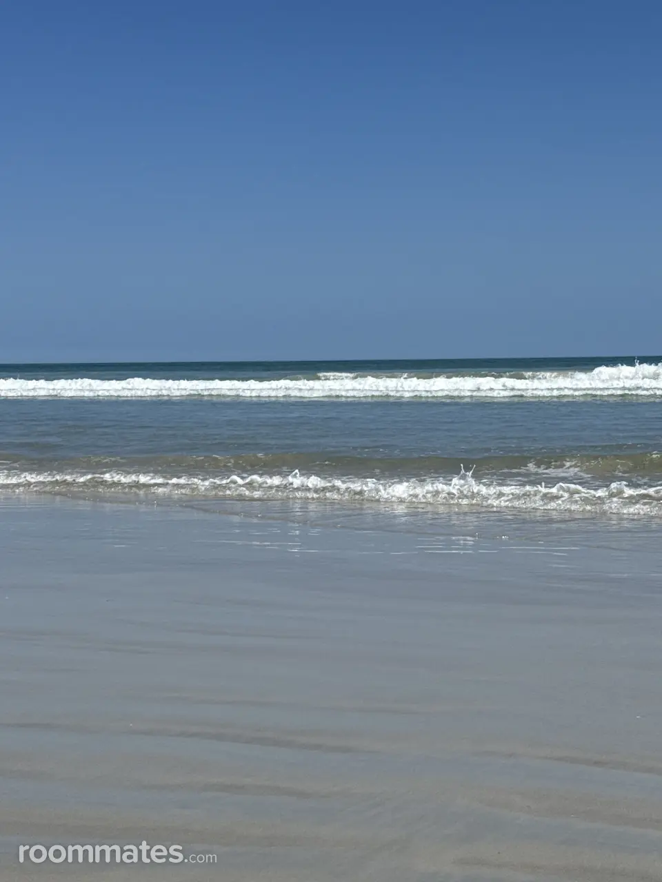 Profile photo 1 of 11