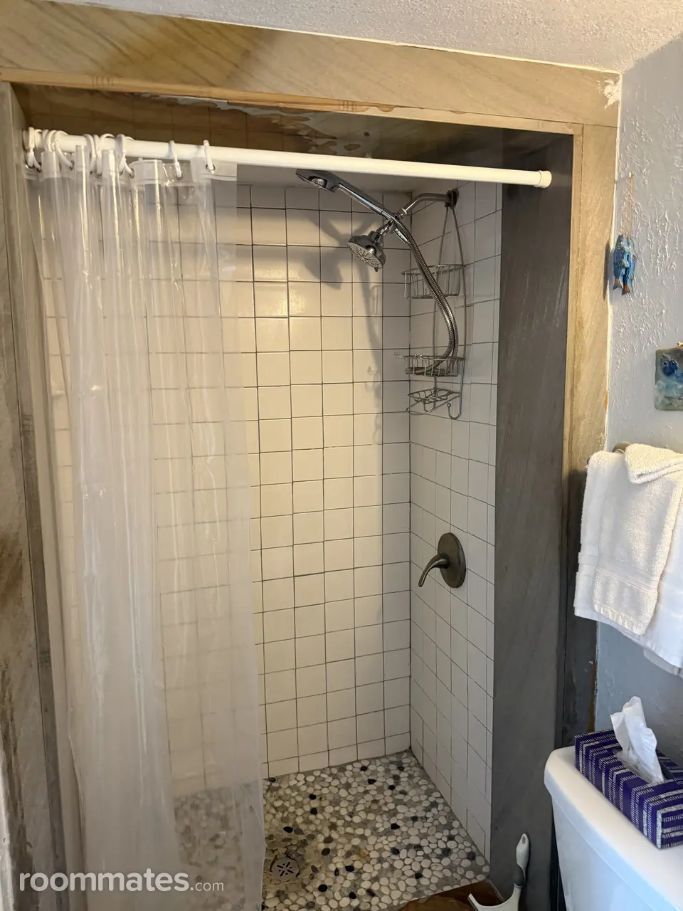 Profile photo 10 of 11