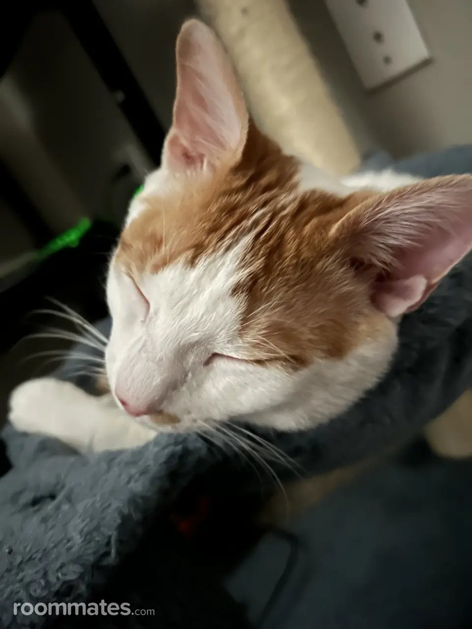 Profile photo 1 of 1