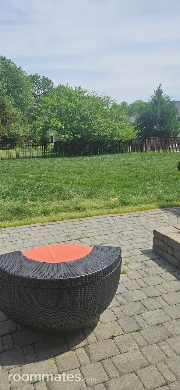 Profile photo 4 of 11