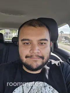 Roommate looking Sebring, FL, $800