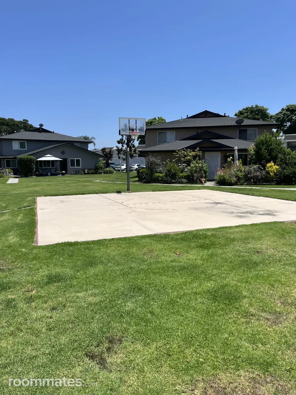 Profile photo 6 of 8