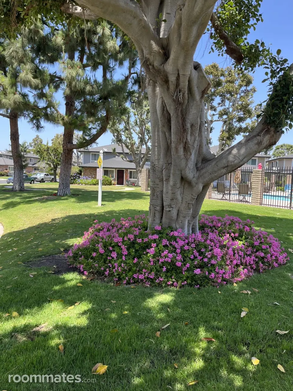 Profile photo 7 of 8