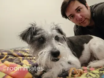 Roommate looking Minneapolis, MN, $1500