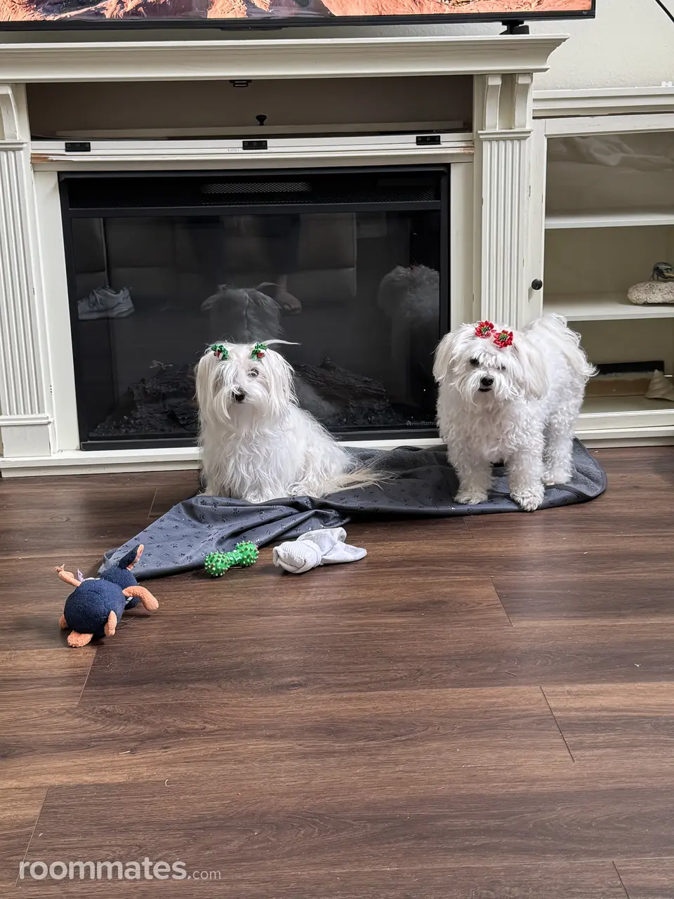 Profile photo 3 of 4