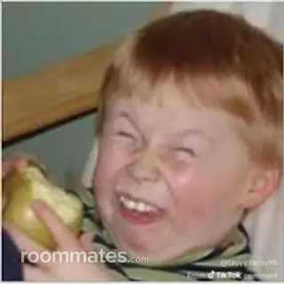 Roommate looking Chicago, IL, $1000