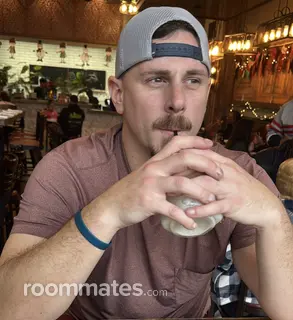 Roommate looking Livonia, MI, $1000