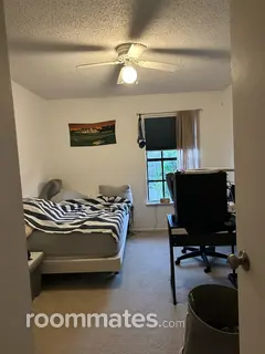 Room for rent in Tampa, FL $675, apartment