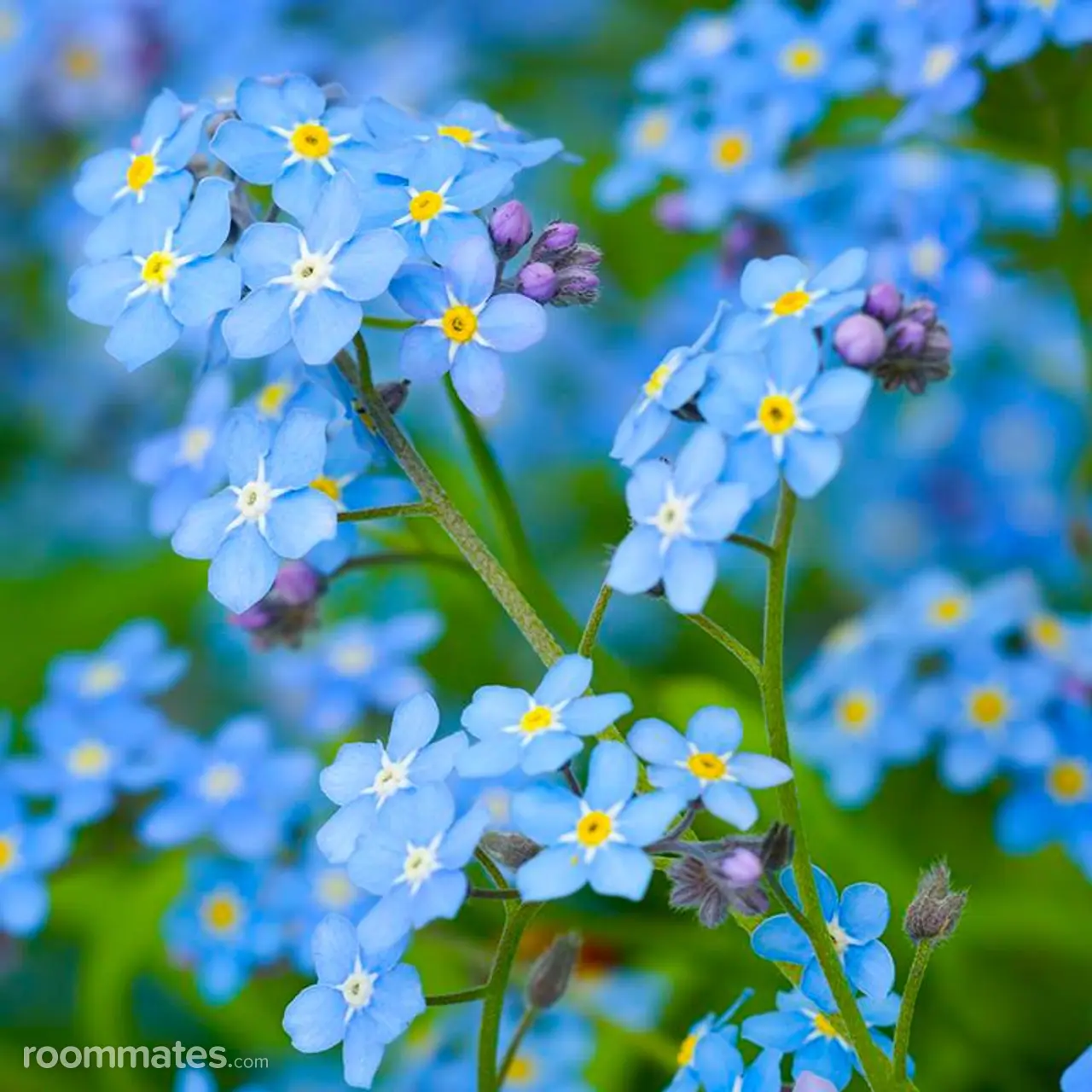 Profile photo 3 of 3