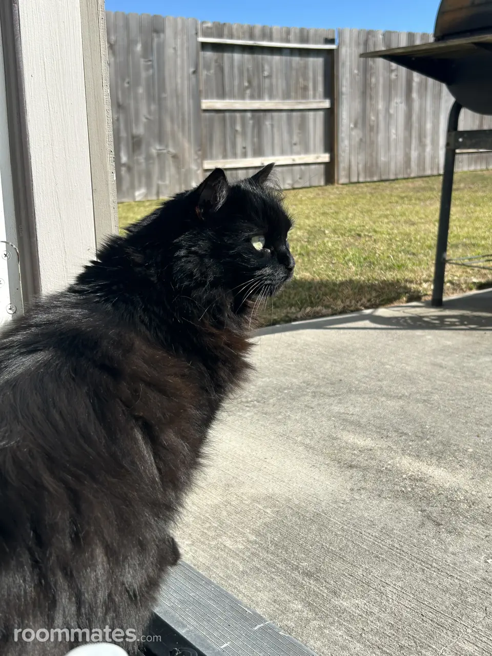 Profile photo 5 of 5