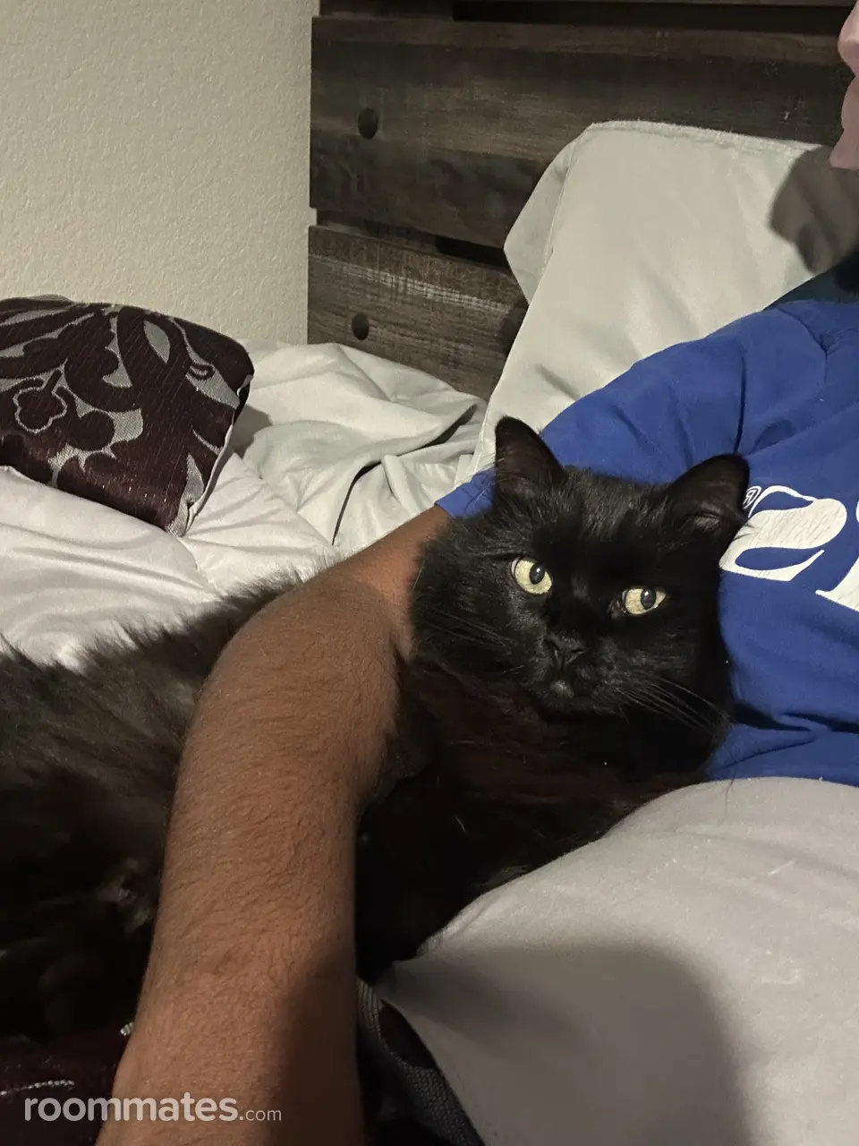 Profile photo 3 of 5