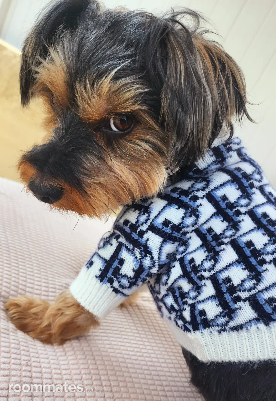 Profile photo 14 of 18