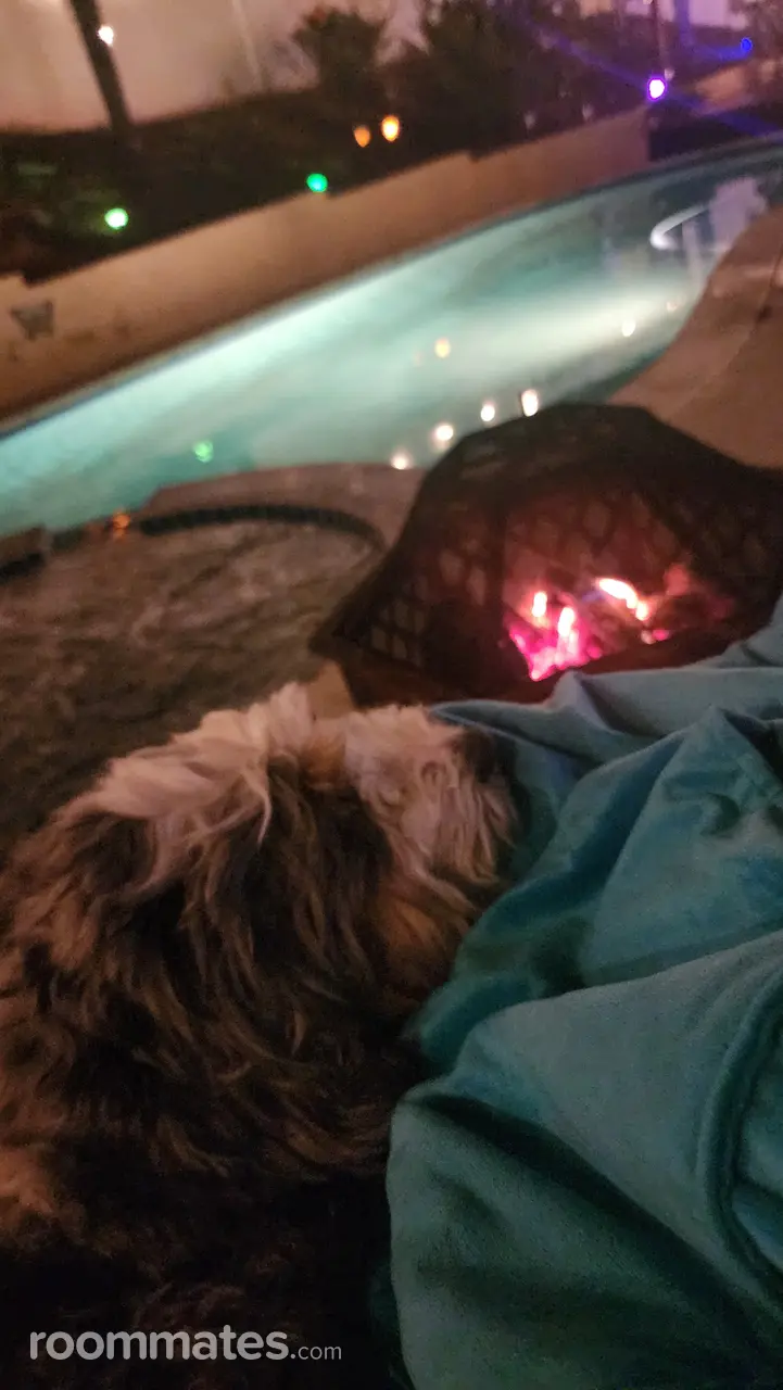 Profile photo 17 of 18