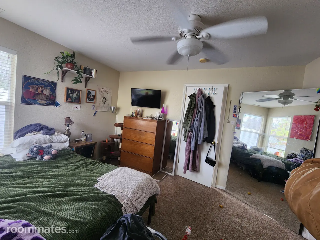 Profile photo 7 of 8