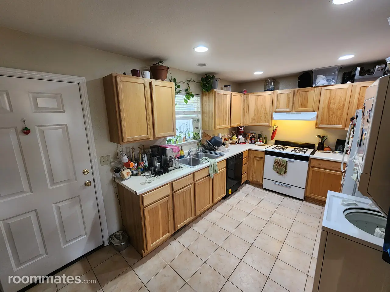 Profile photo 5 of 8