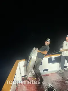 Roommate looking San Diego Country Estates, CA, $1600