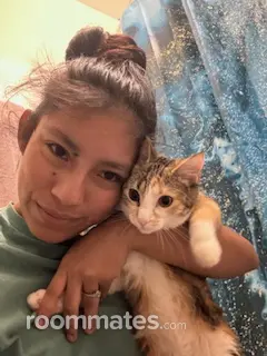 Roommate looking Tucson, AZ, $700