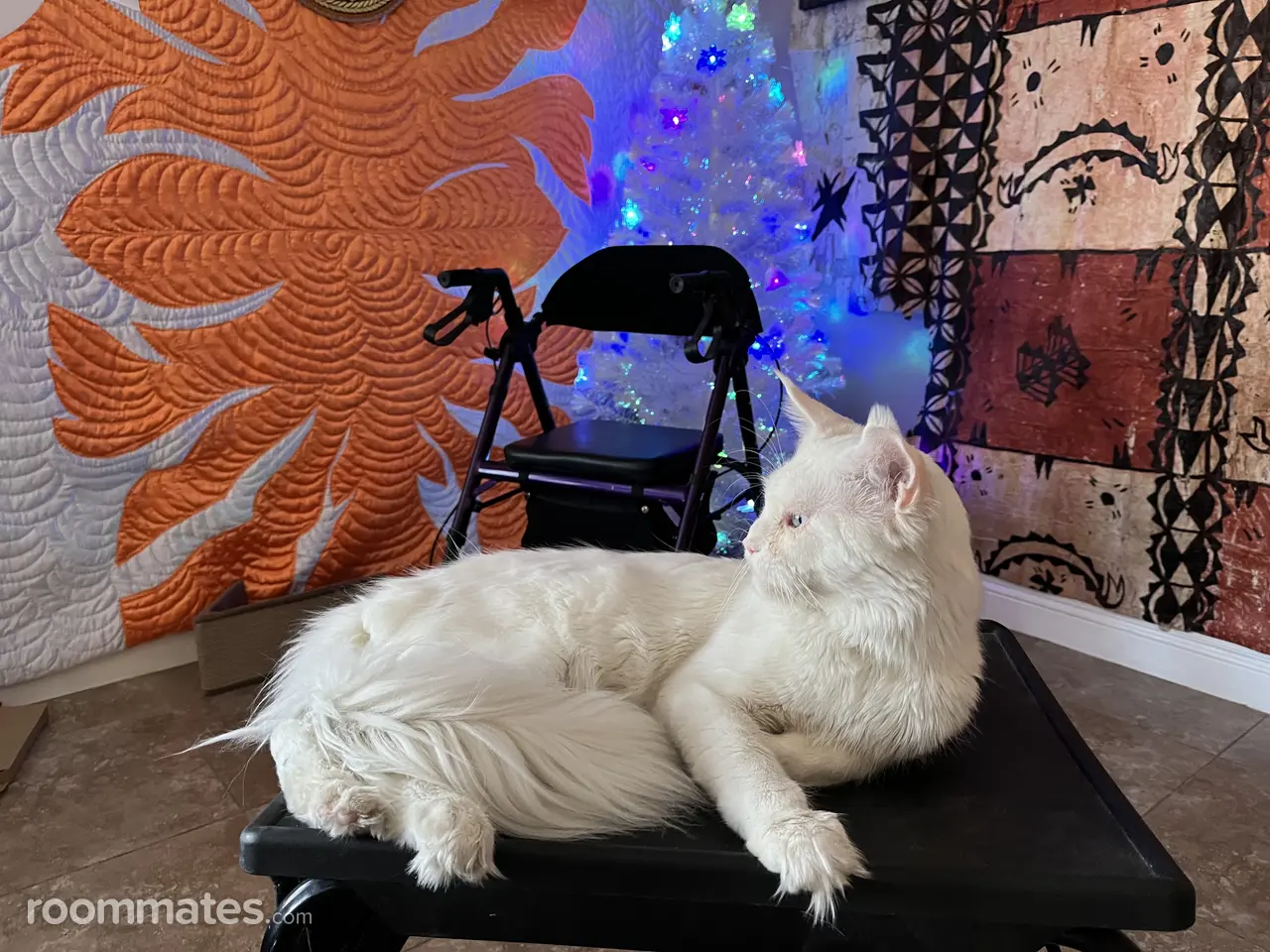 Profile photo 3 of 3