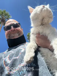 Roommate looking Las Vegas, NV, $1200