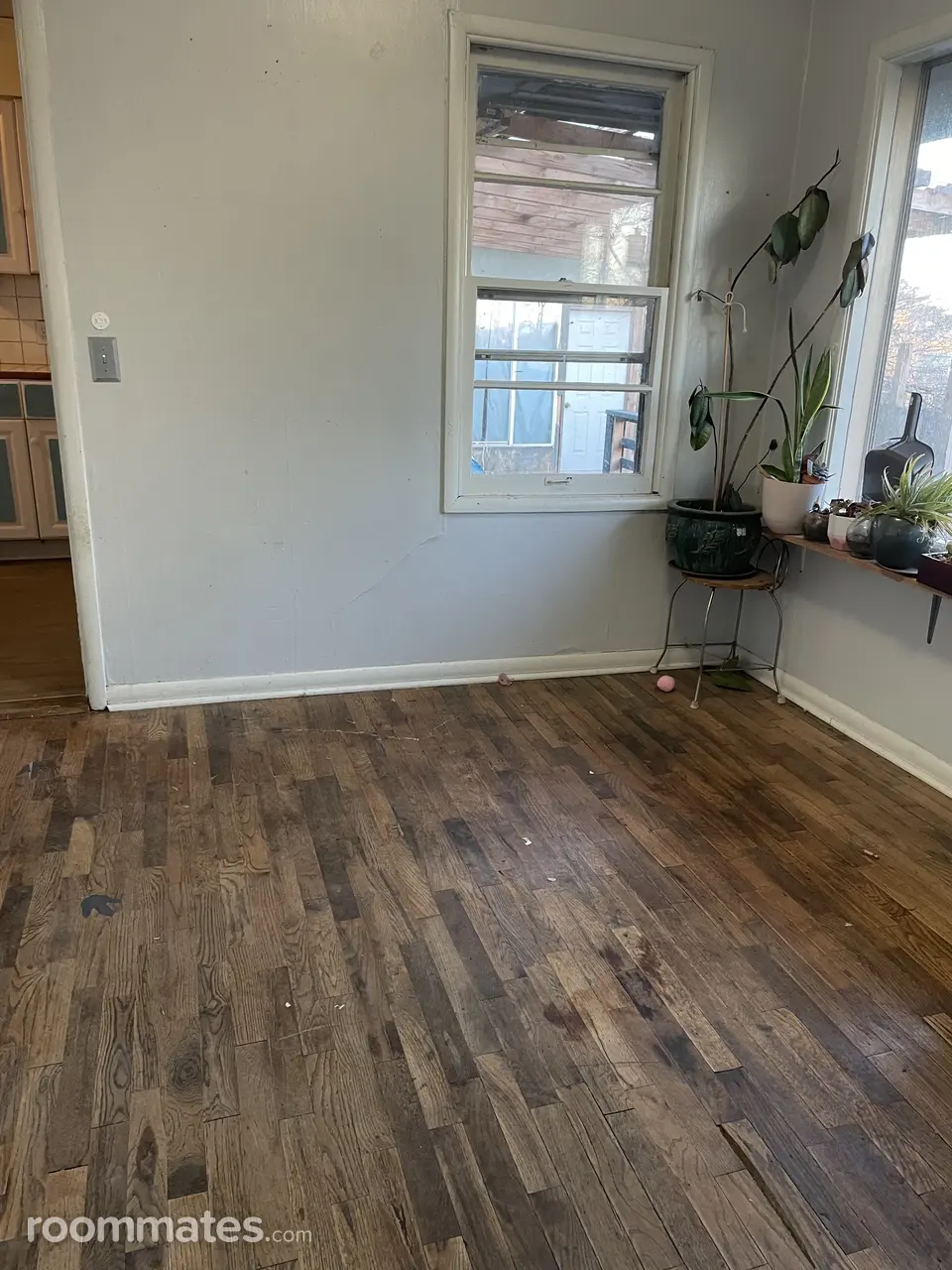 Profile photo 4 of 5