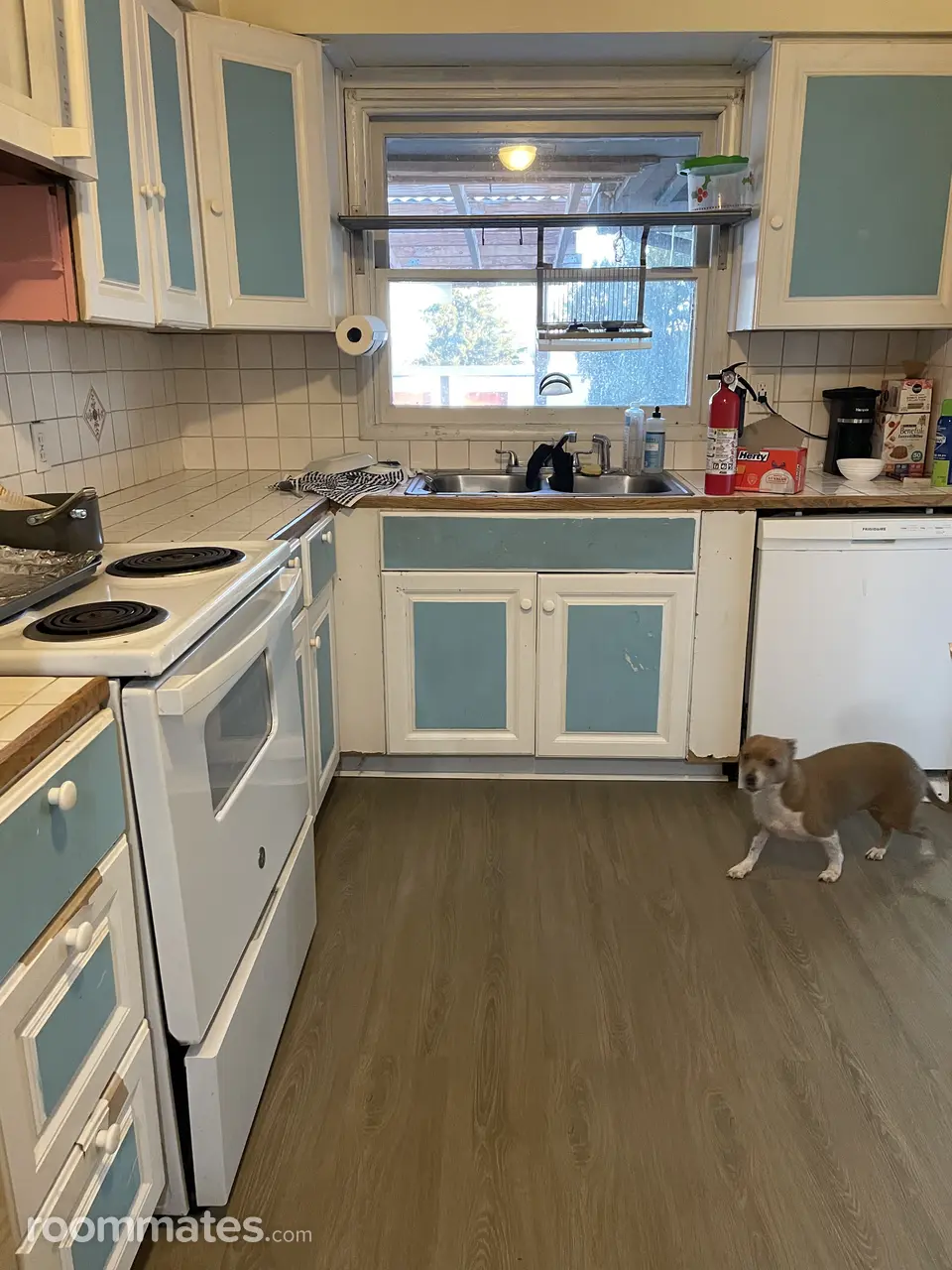 Profile photo 2 of 5