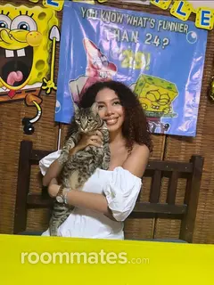 Roommate looking Houston, TX, $1100