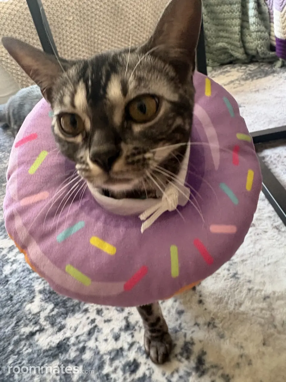 Profile photo 6 of 8