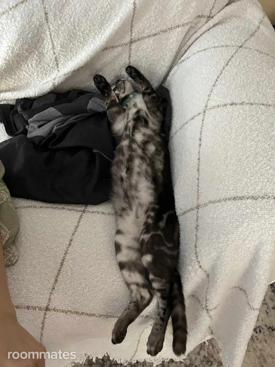 Profile photo 7 of 8