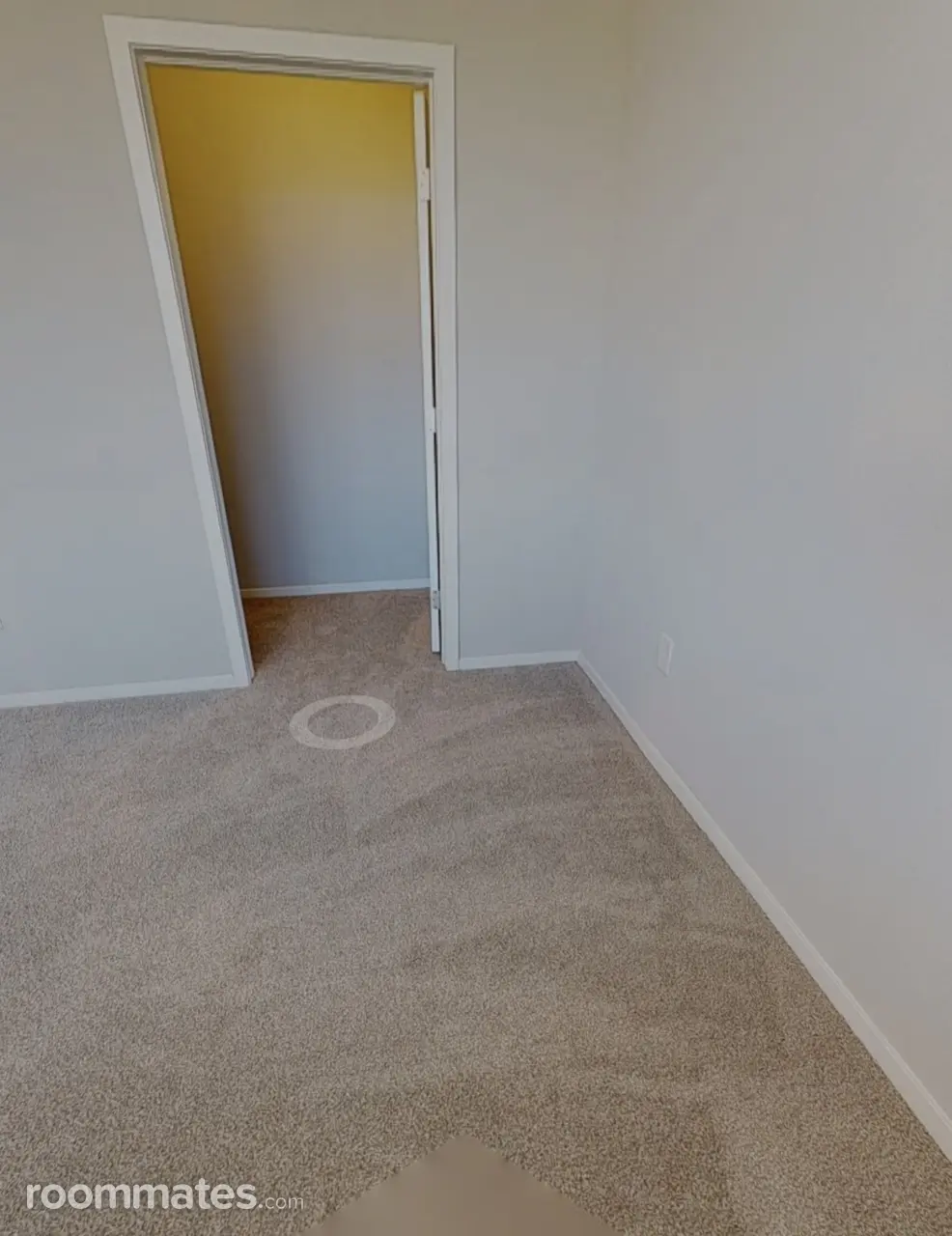 Profile photo 4 of 8