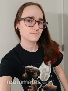 Roommate looking Frederick, MD, $700