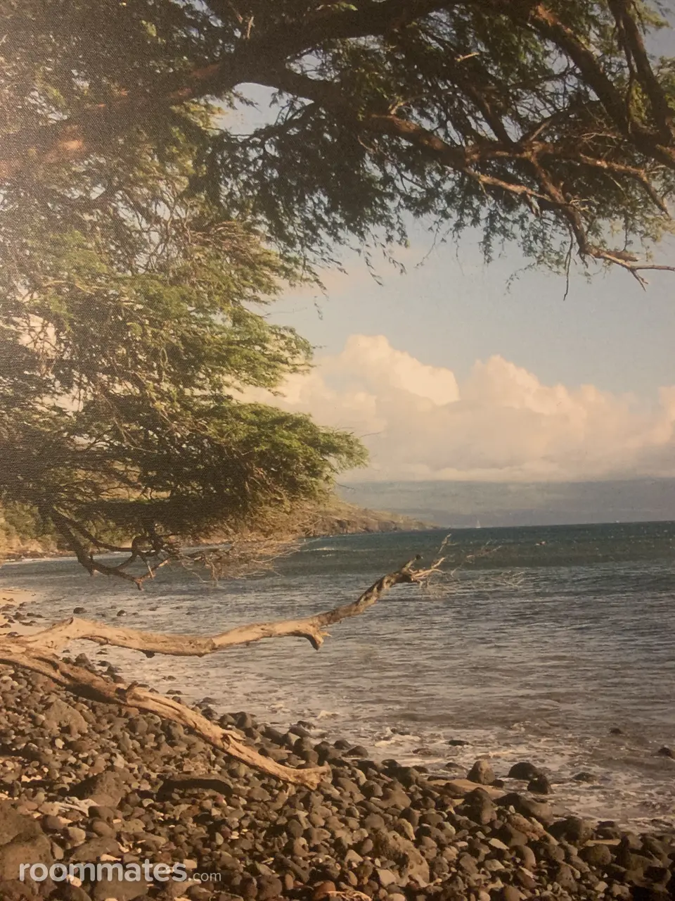 Profile photo 2 of 2