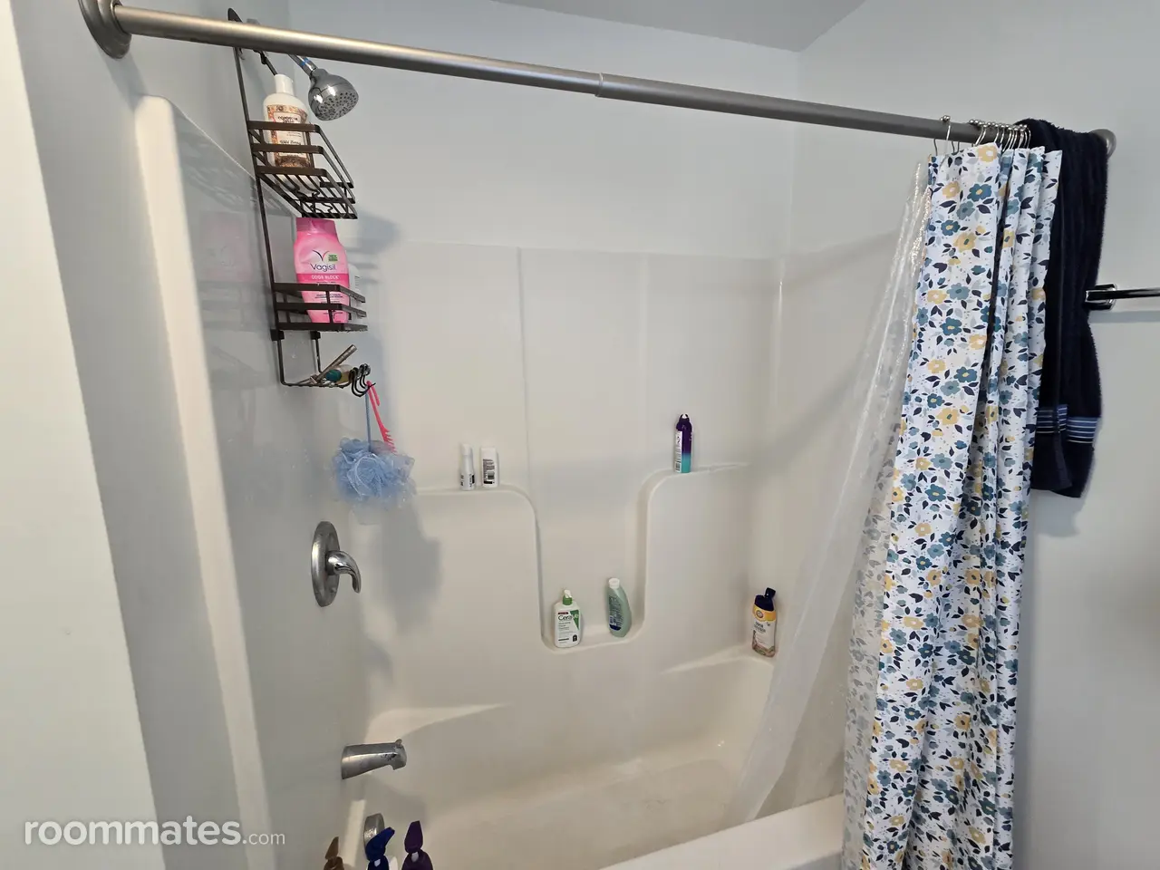 Profile photo 3 of 12