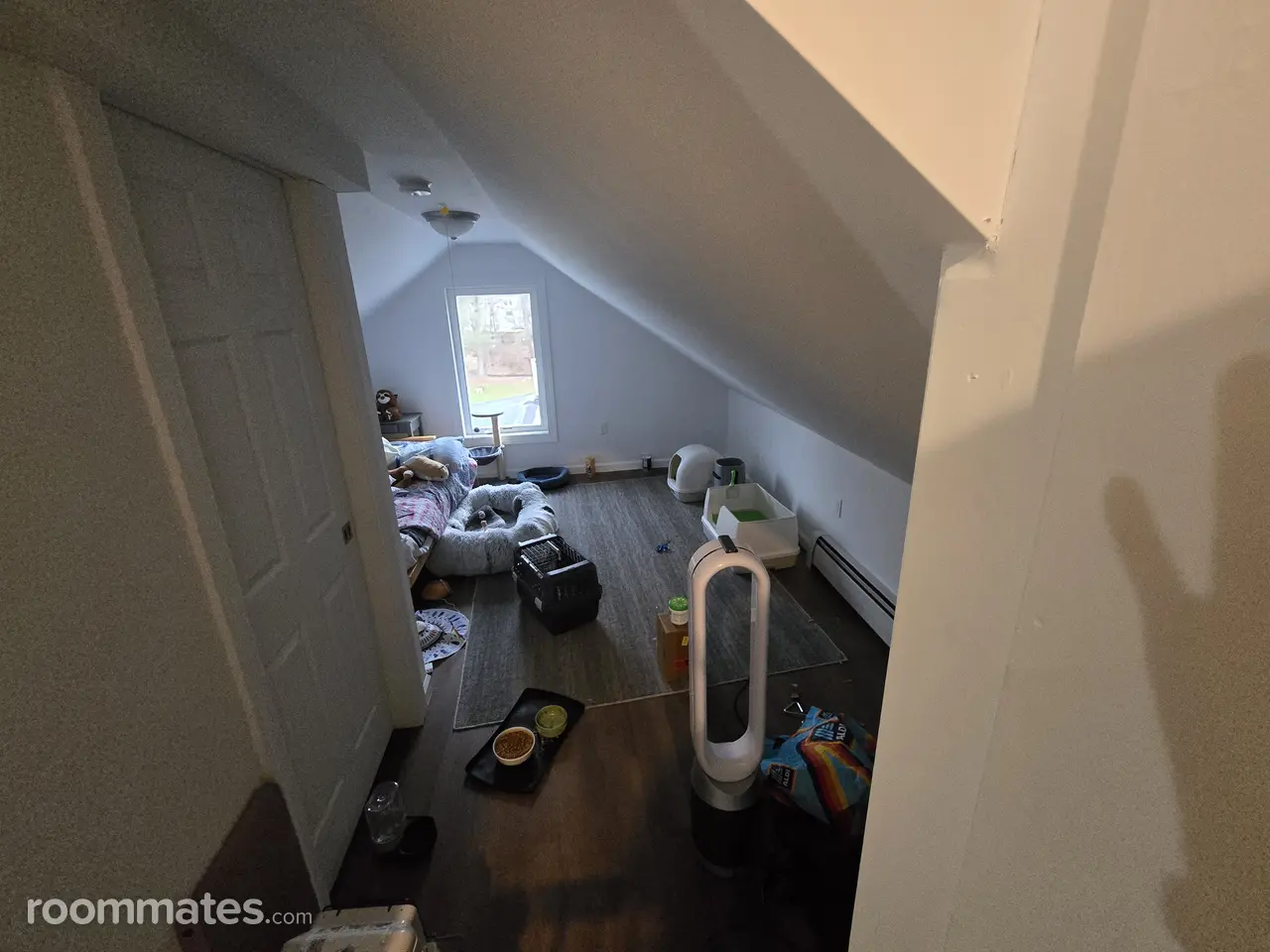 Profile photo 9 of 12