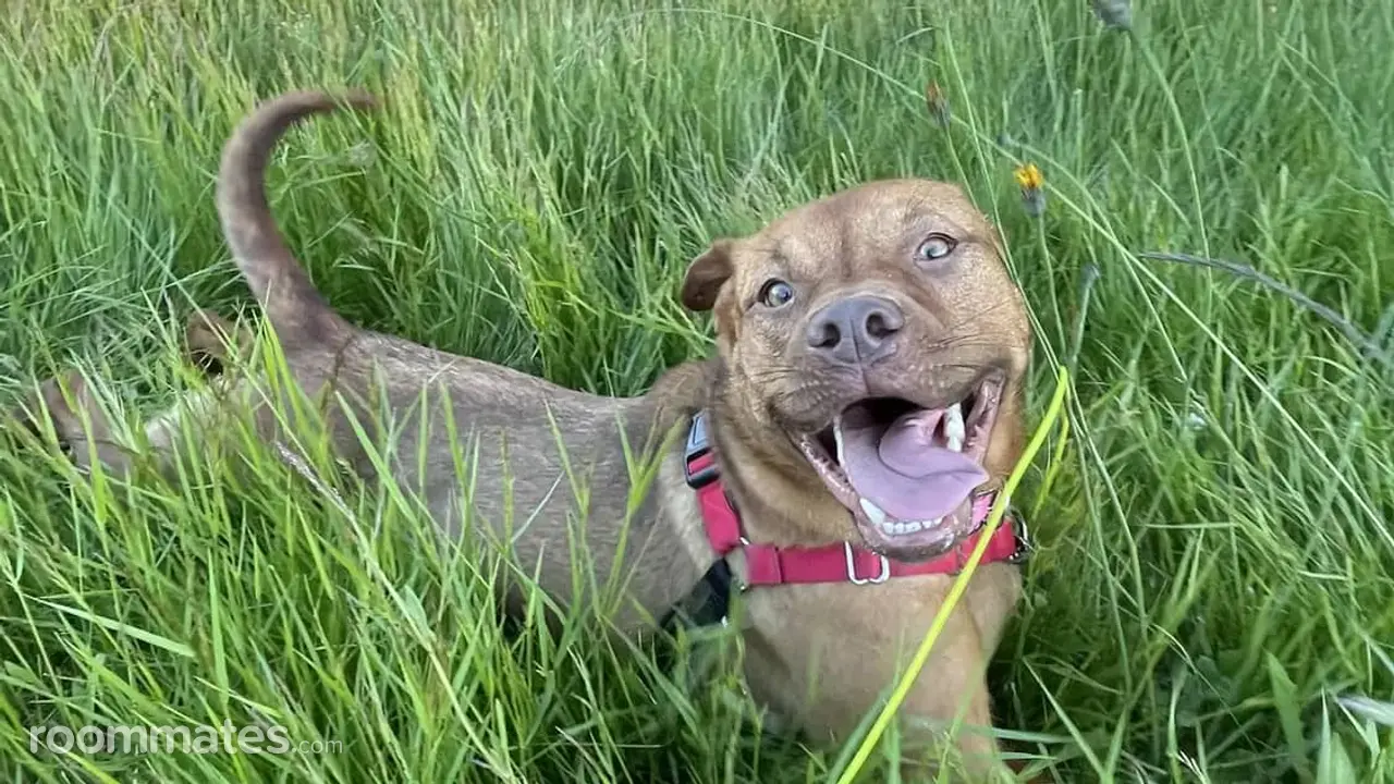 Profile photo 10 of 12