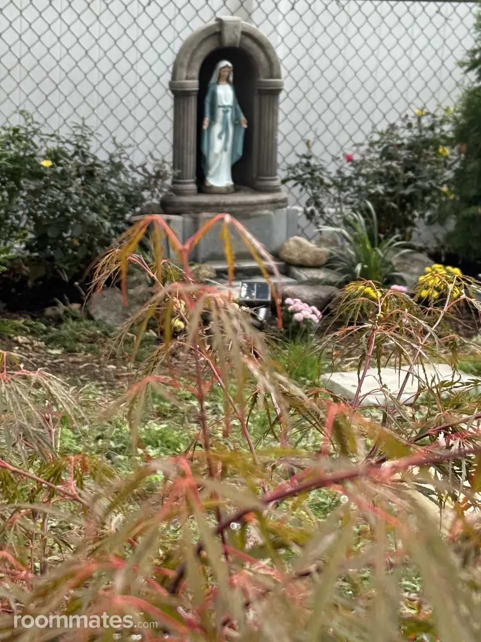 Profile photo 10 of 11