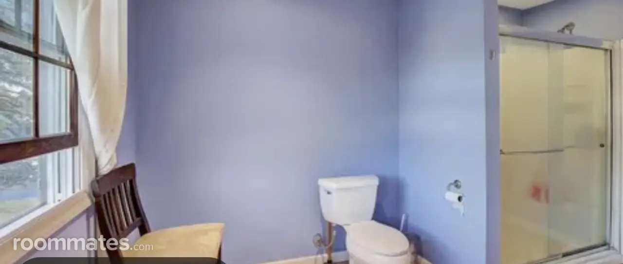 Profile photo 8 of 11