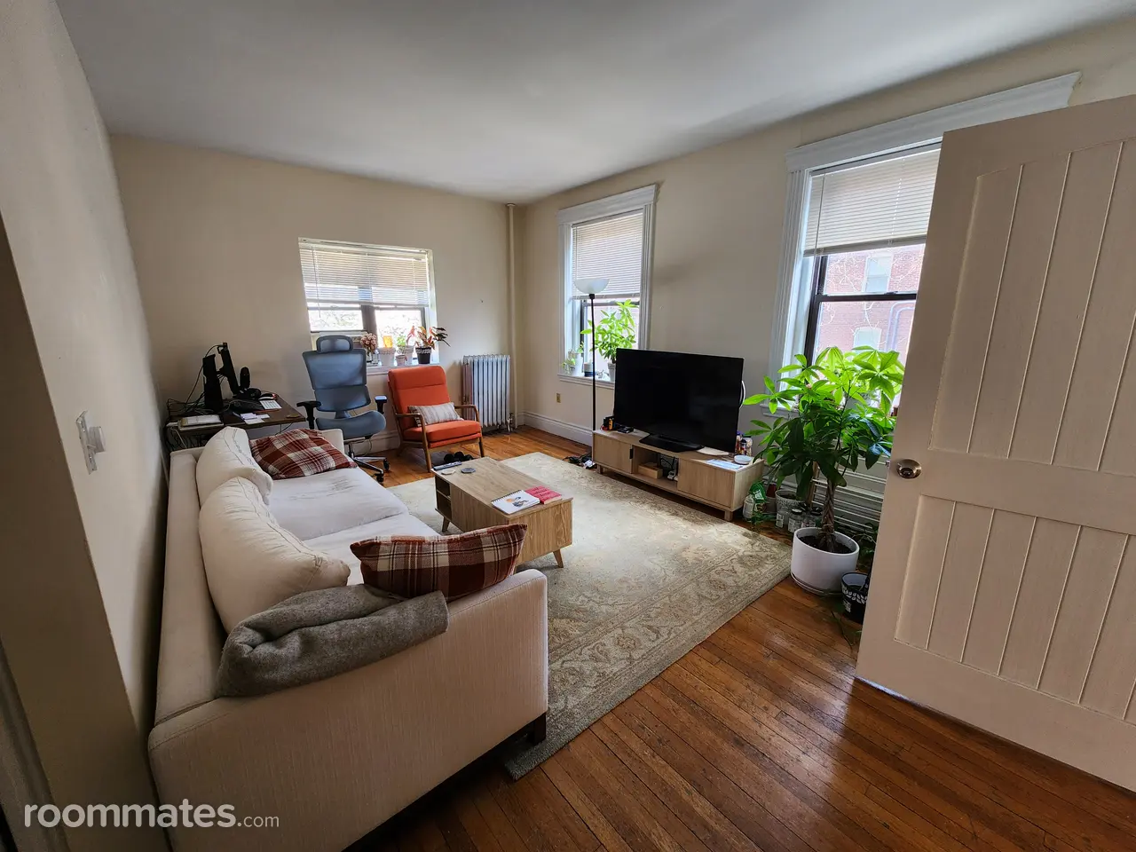 Profile photo 4 of 11