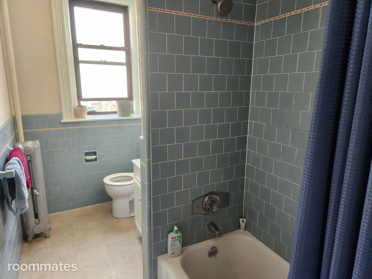 Profile photo 5 of 11