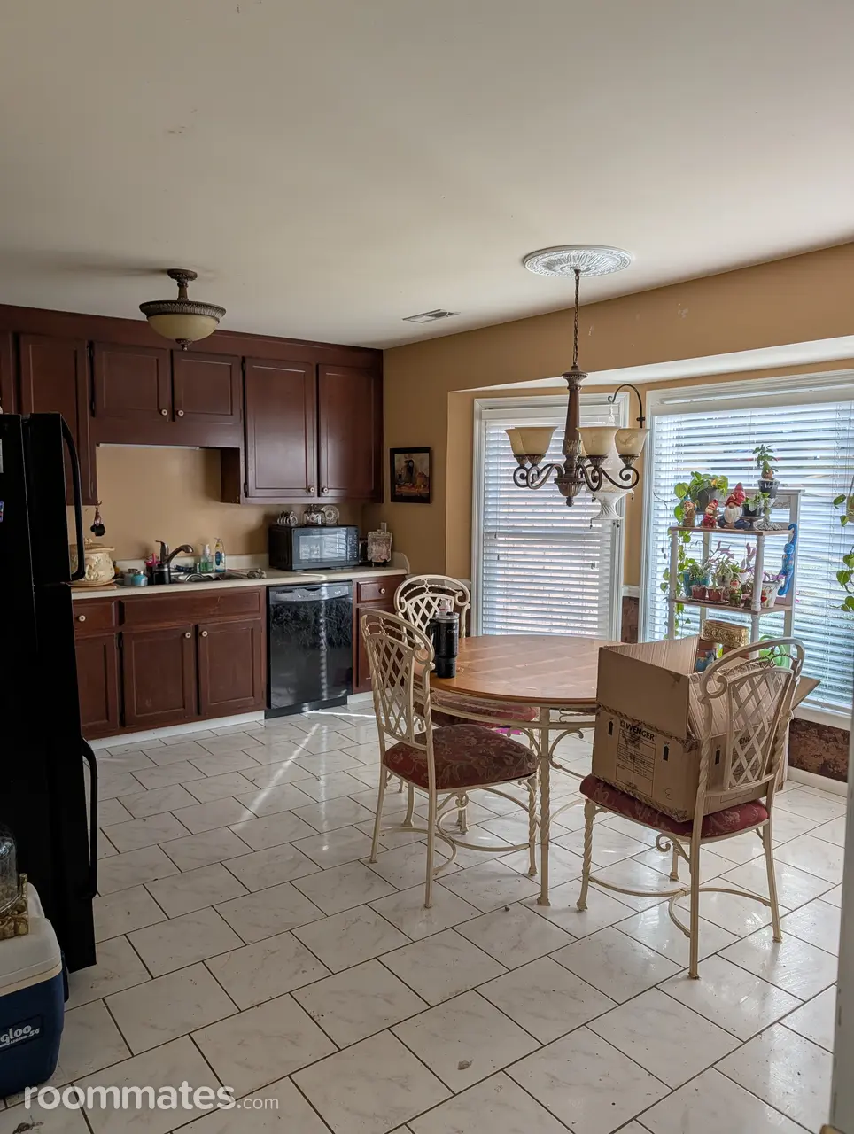 Profile photo 2 of 4