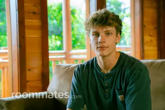 Roommate looking Nashville, TN, $900