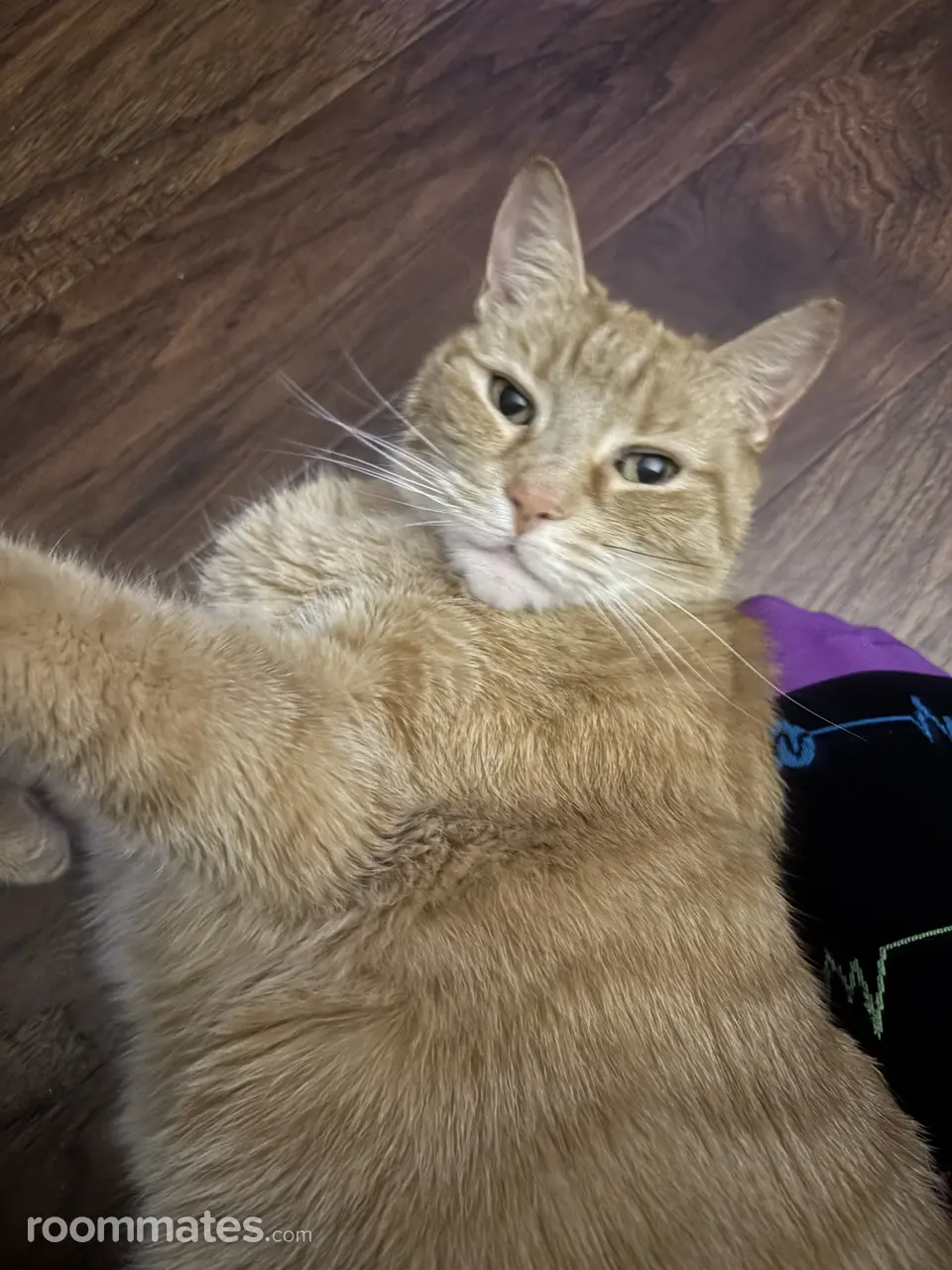 Profile photo 2 of 2