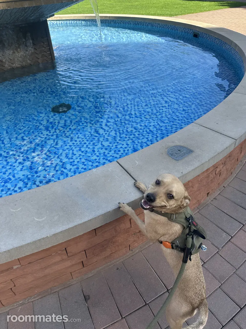 Profile photo 3 of 4