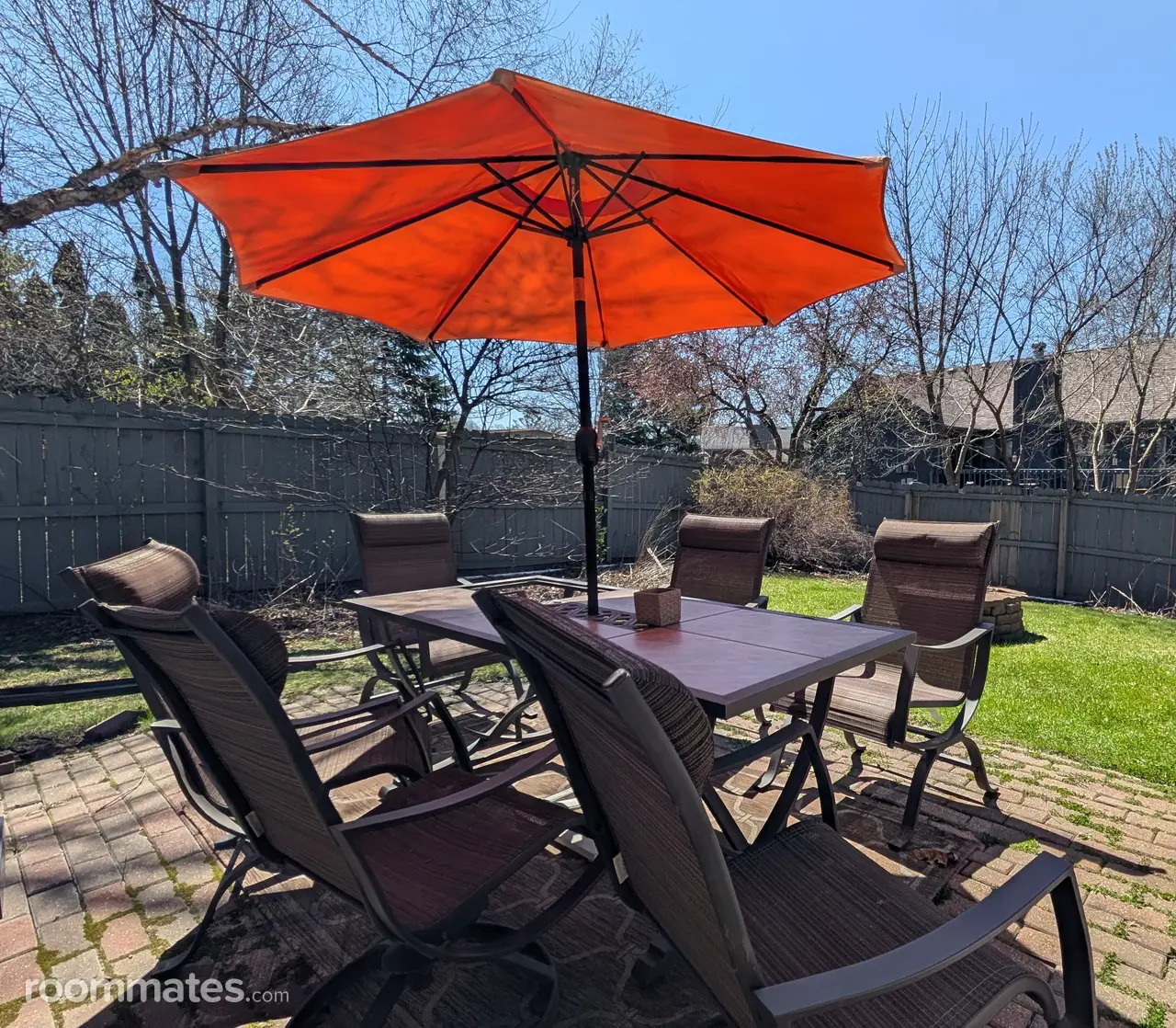 Profile photo 5 of 11