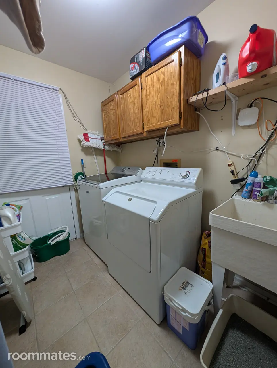 Profile photo 8 of 11